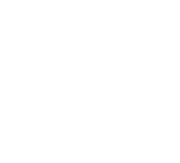 flecha-logo-new