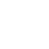 WES | Flecha Logo